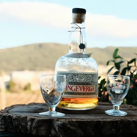 Casa Flores Apartment Santo Tirso