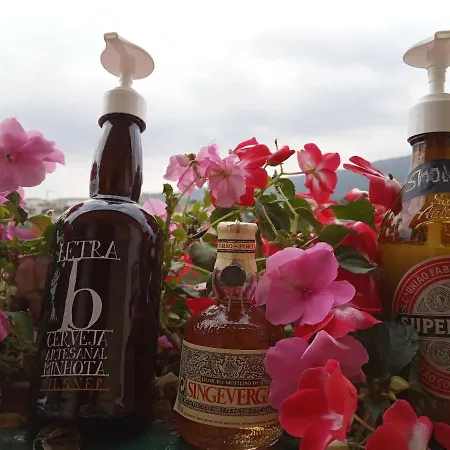 Casa Flores Apartment Santo Tirso